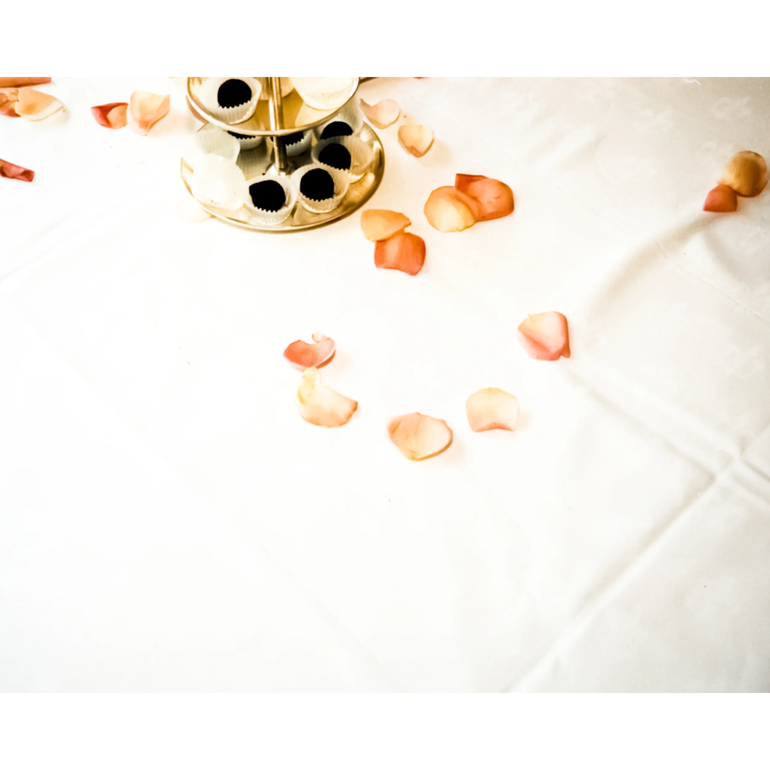 Lightroom (1994.25.31.02A.JPG) copy.jpg