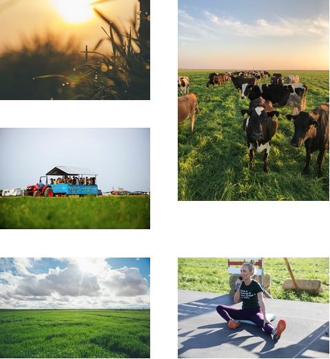 Screen Shot 2019-05-17 at 11.50.05 AM.png