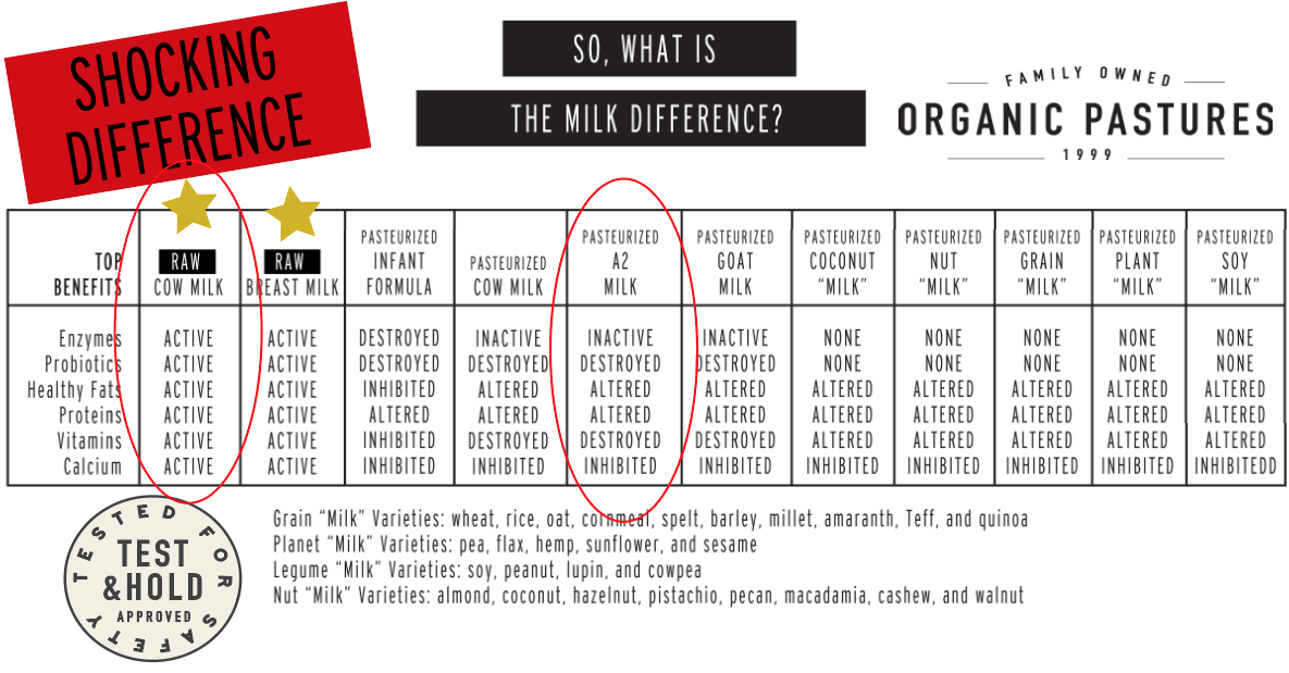 Pasteurized A2 Milk Vs Raw Dairy Products Organic Pastures - 