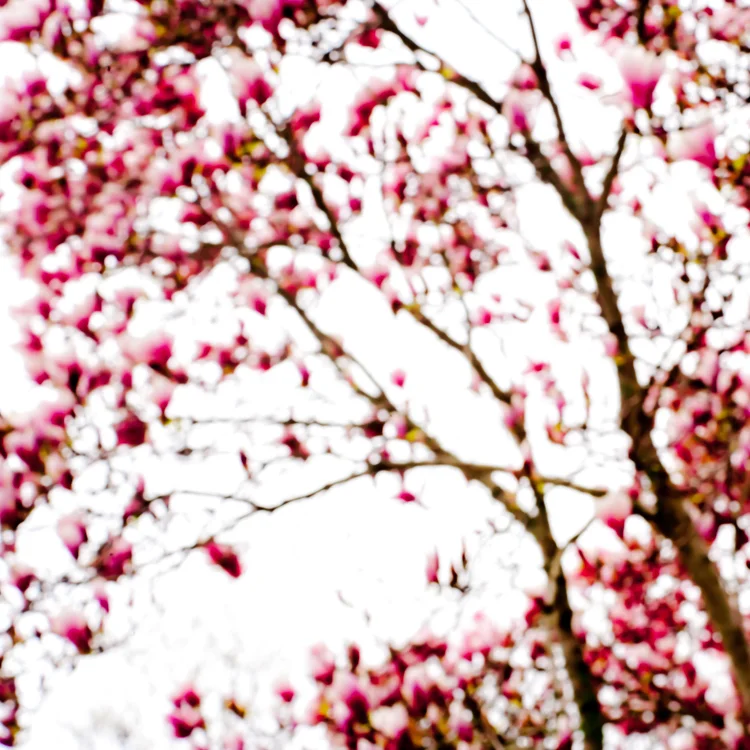 2011.04.0234-2.jpg