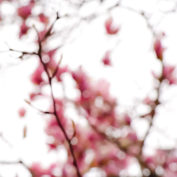 2011.04.0015.jpg