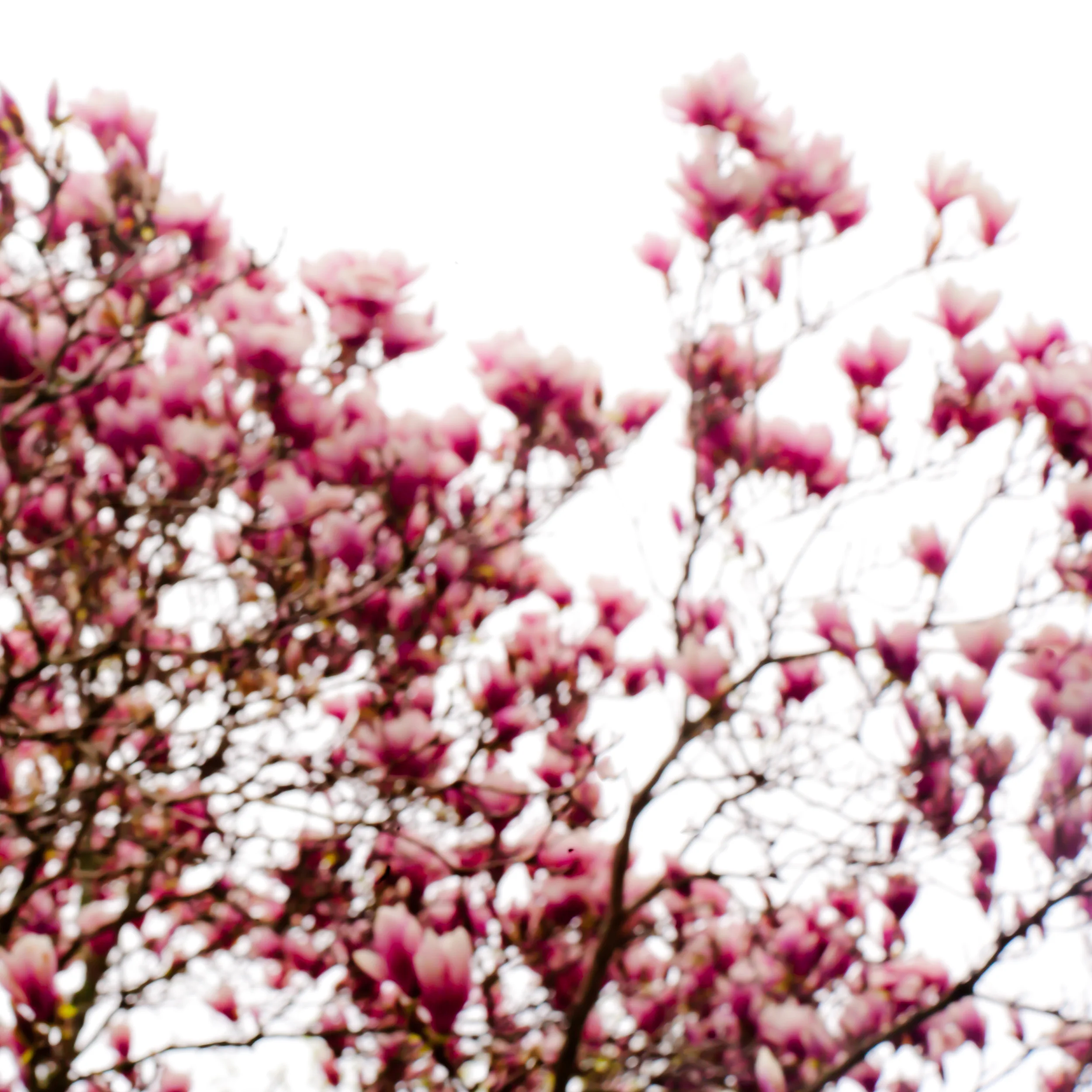 2011.04.0225.jpg