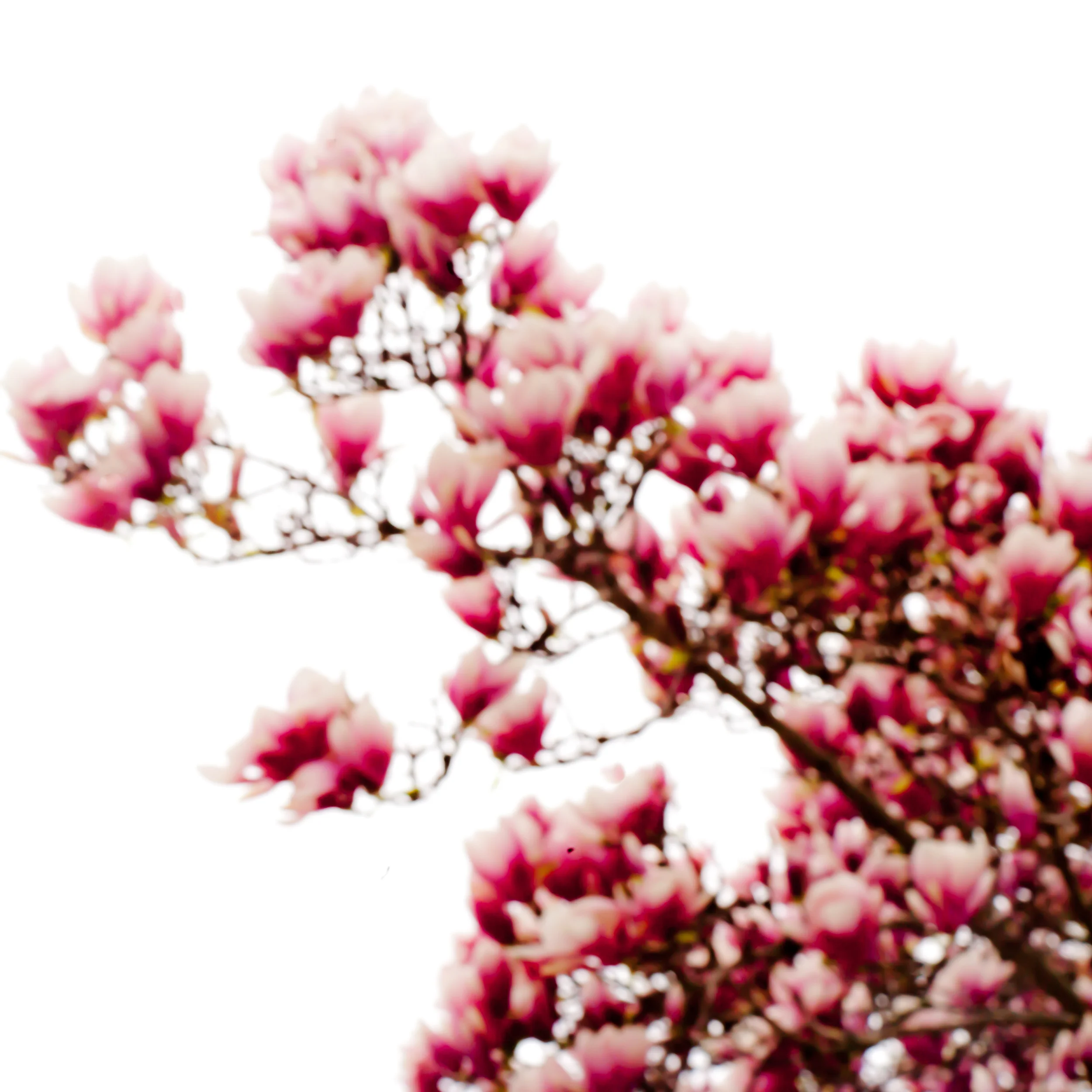 2011.04.0198.jpg