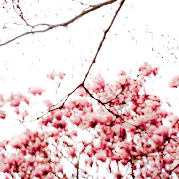 2011.04.0279-2.jpg