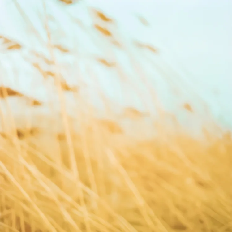 2005-04-04-22.jpg