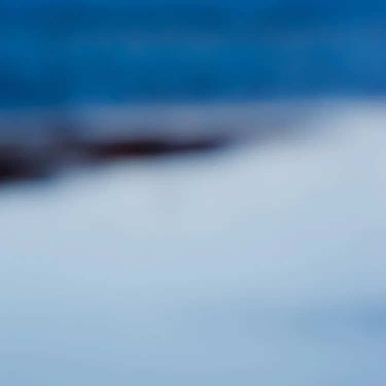 2011.04.DI.00730.jpg