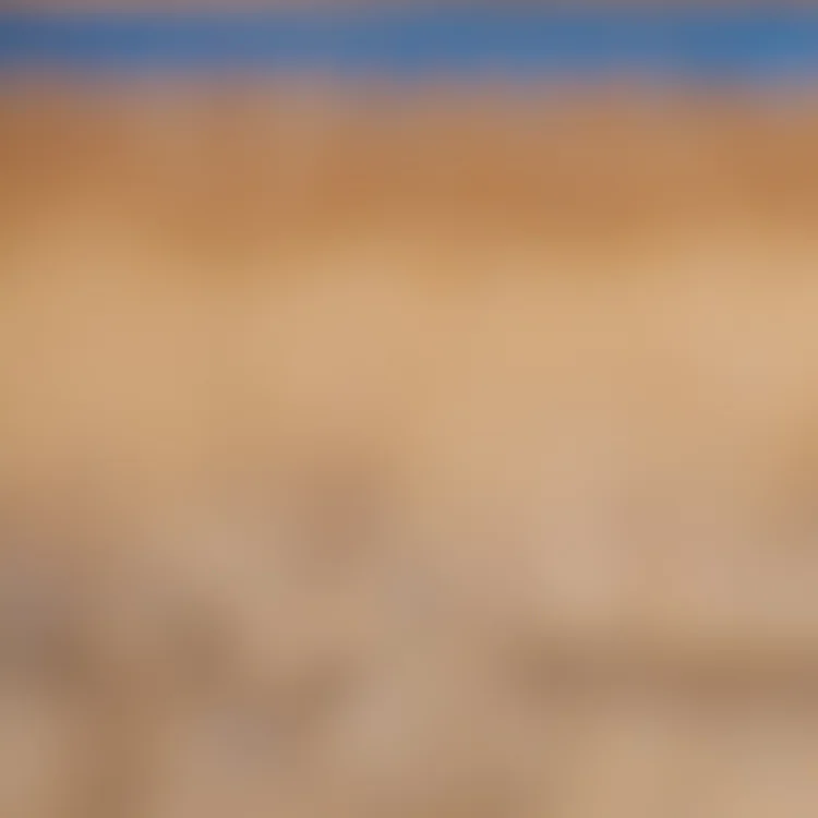 2011.04.DI.00596.jpg