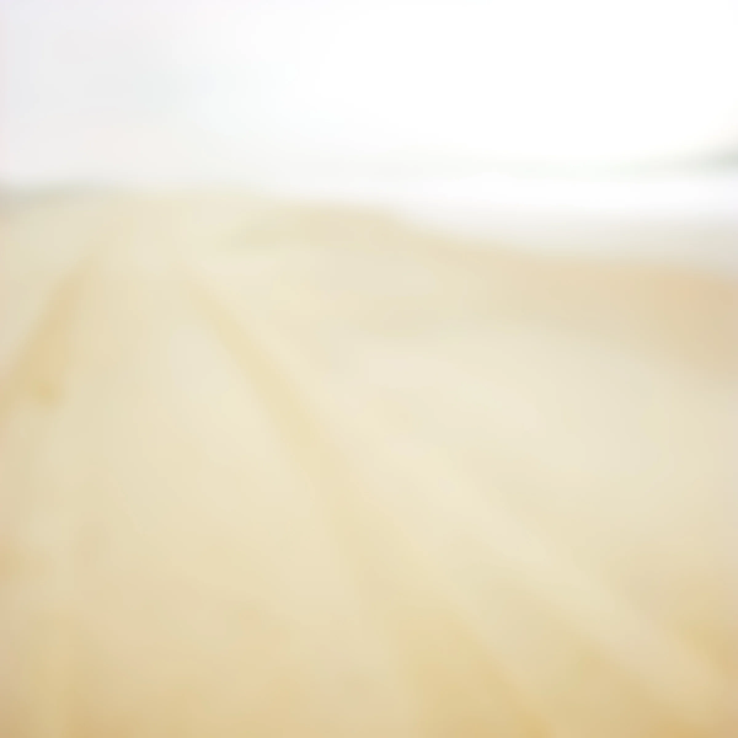 2005.04.01.01-Edit-Edit.jpg