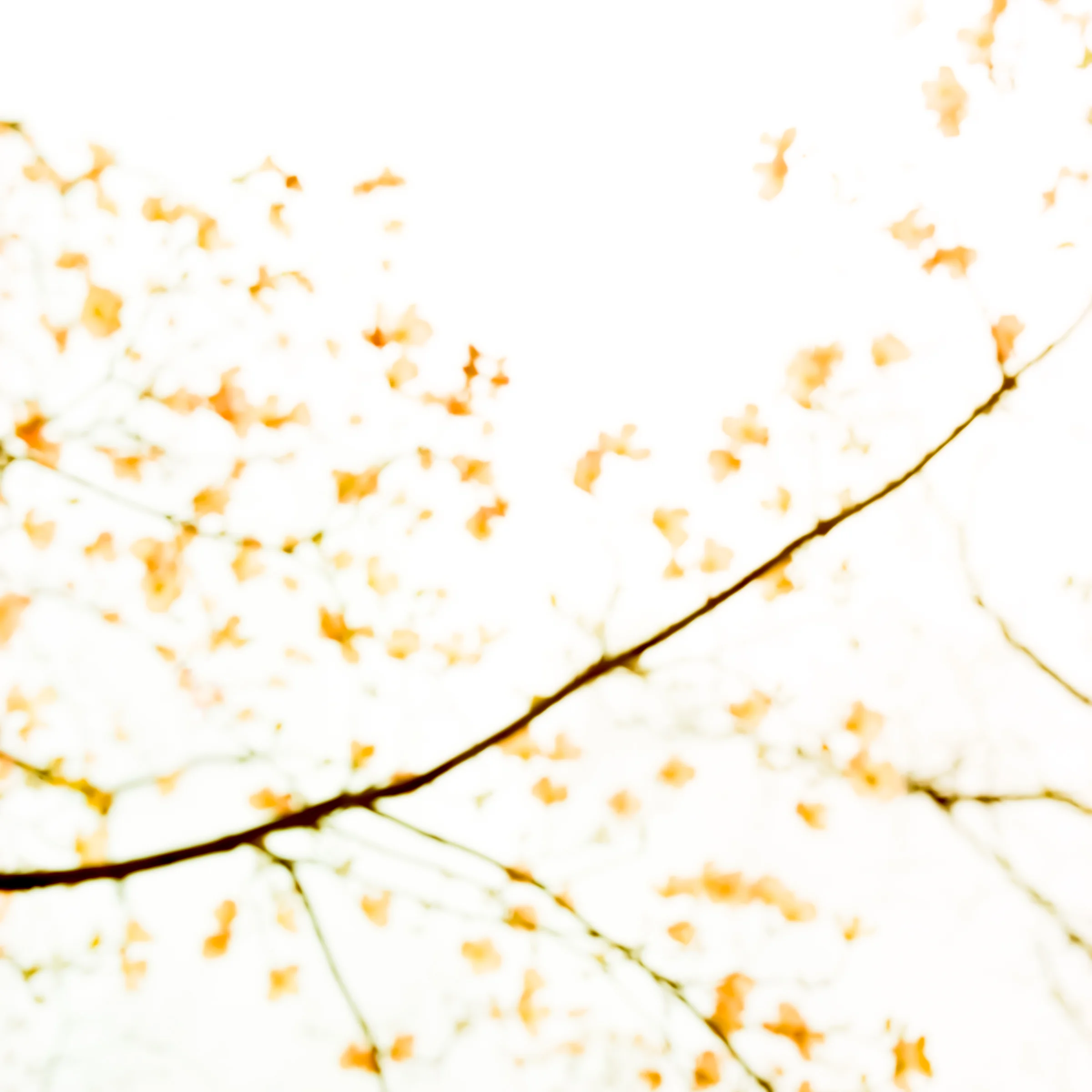 2005.04.15.08-Edit.jpg