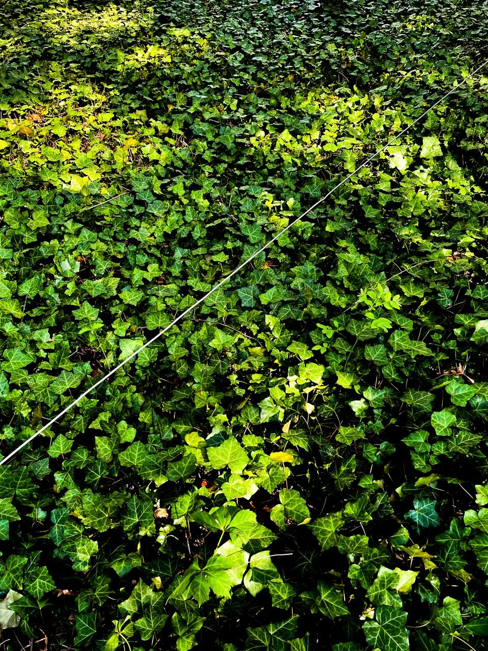 @PHILIPPE CHENG CONTINUANCE.2021.09.00018.JPEG