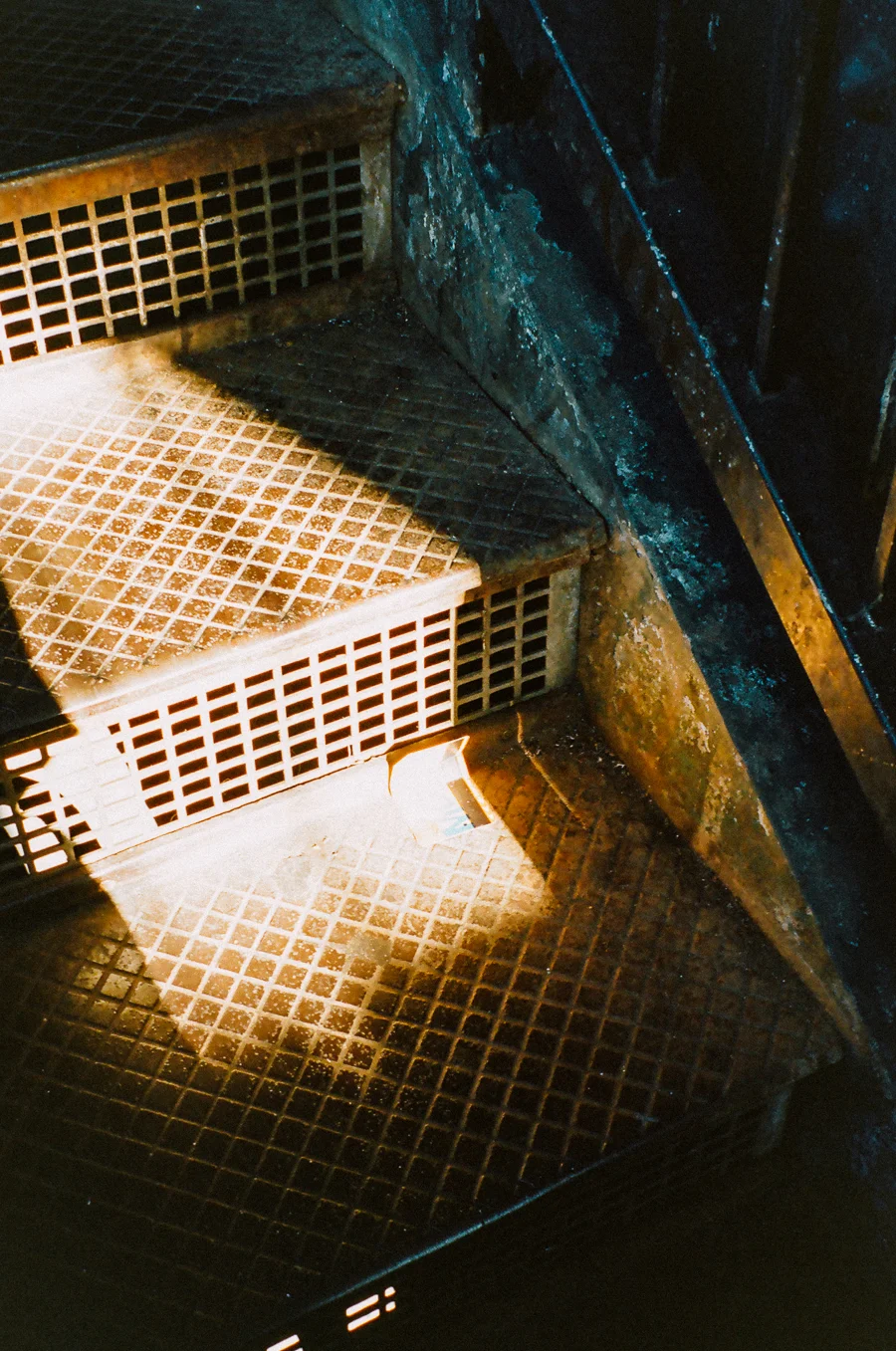 edited-21840008.jpg