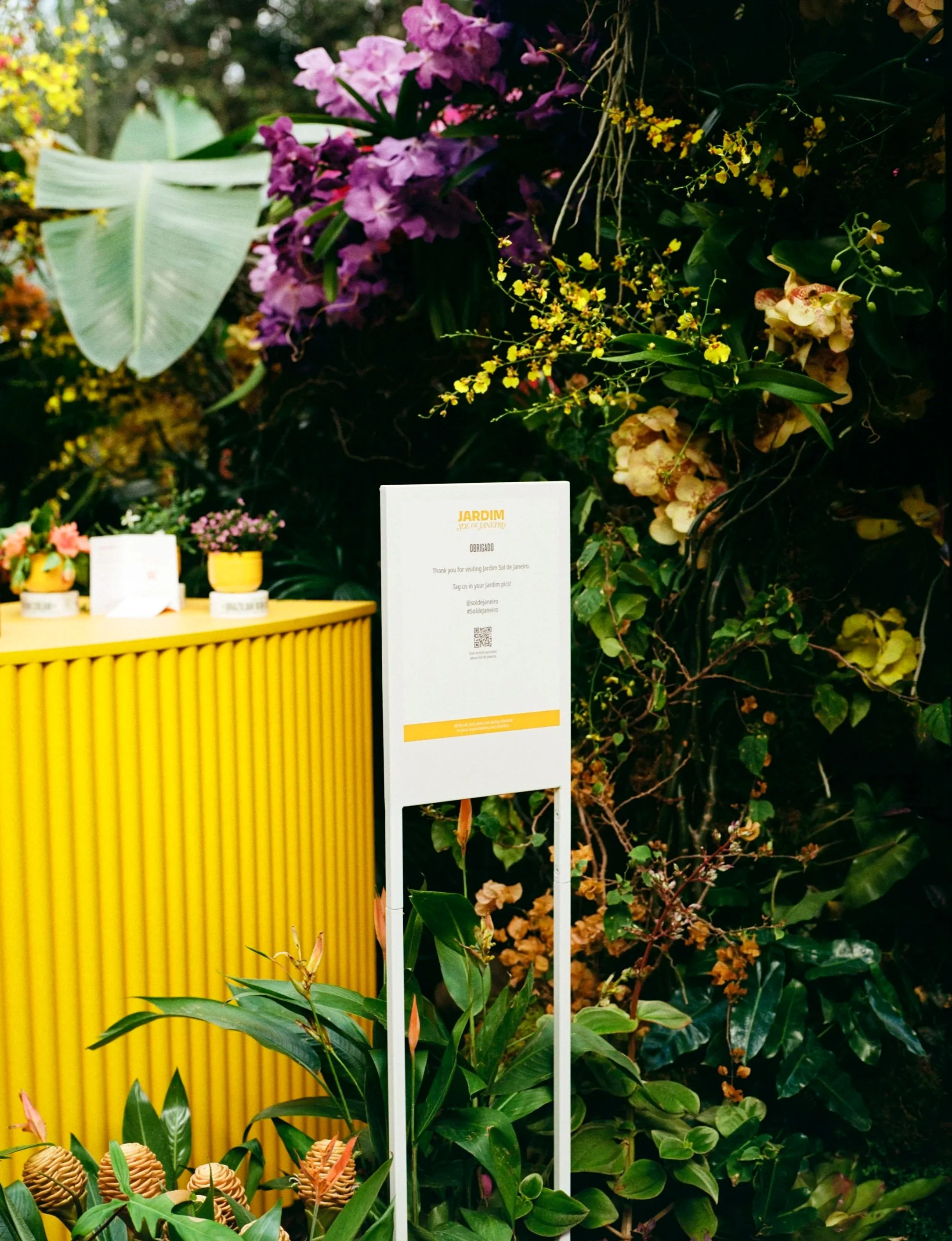 Display of various vibrant flowering plants and a yellow structure in a garden with a sign offering information about the garden.