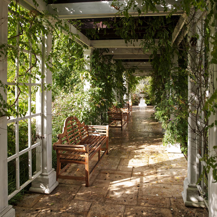 trellis.jpg