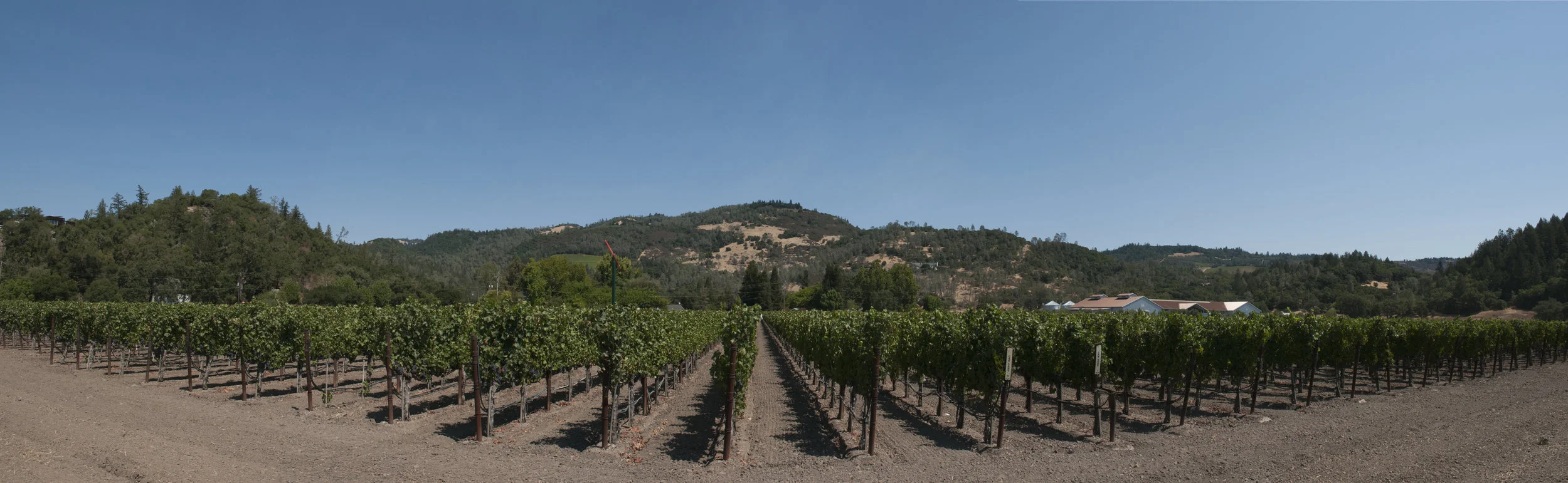 Sonoma.jpg
