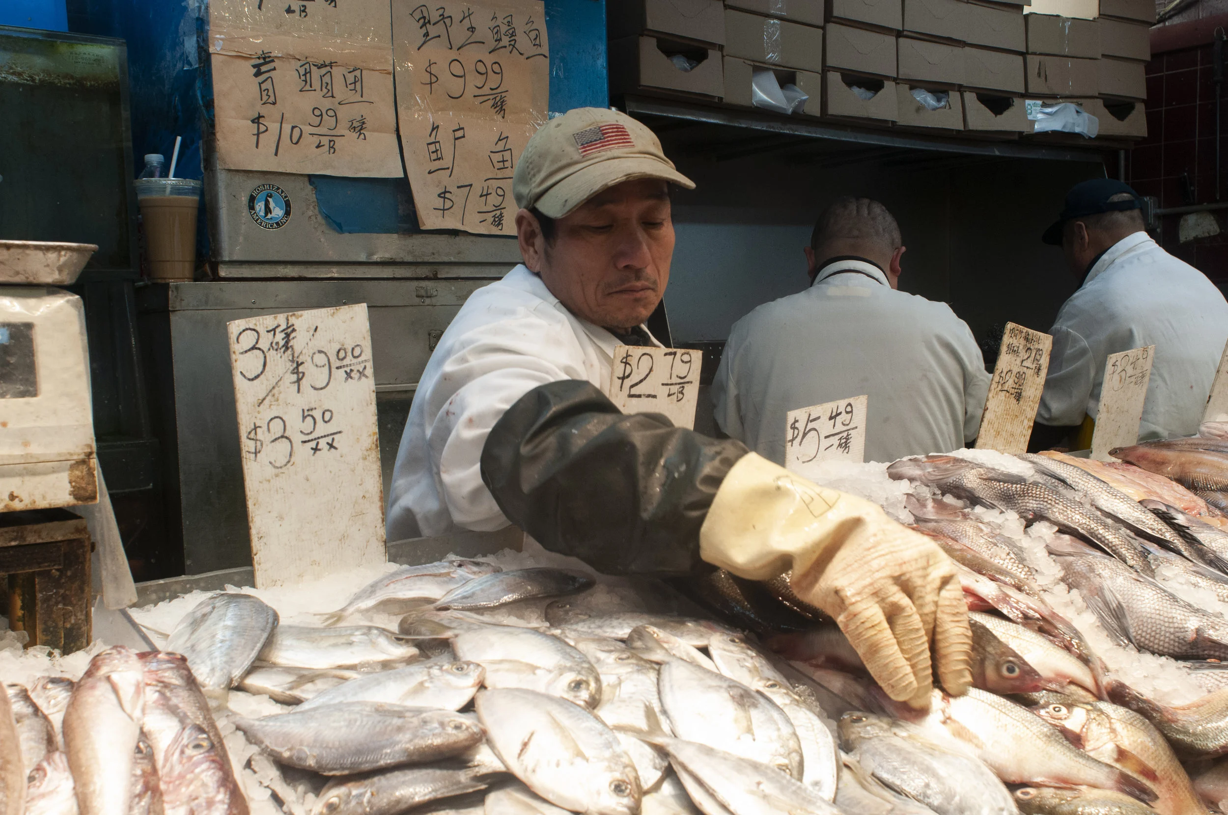 Chinatown 6.jpg