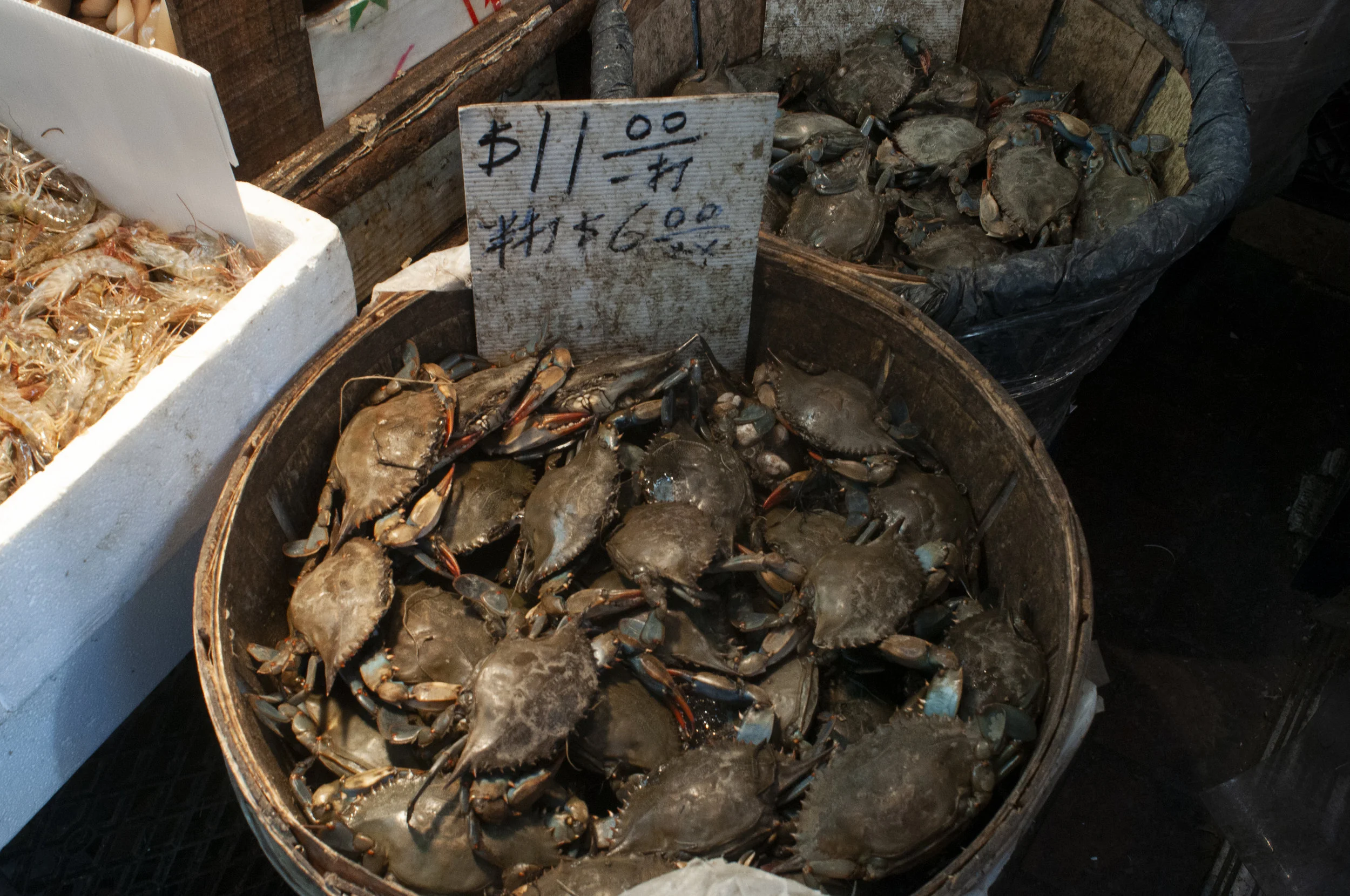 Chinatown 10.jpg
