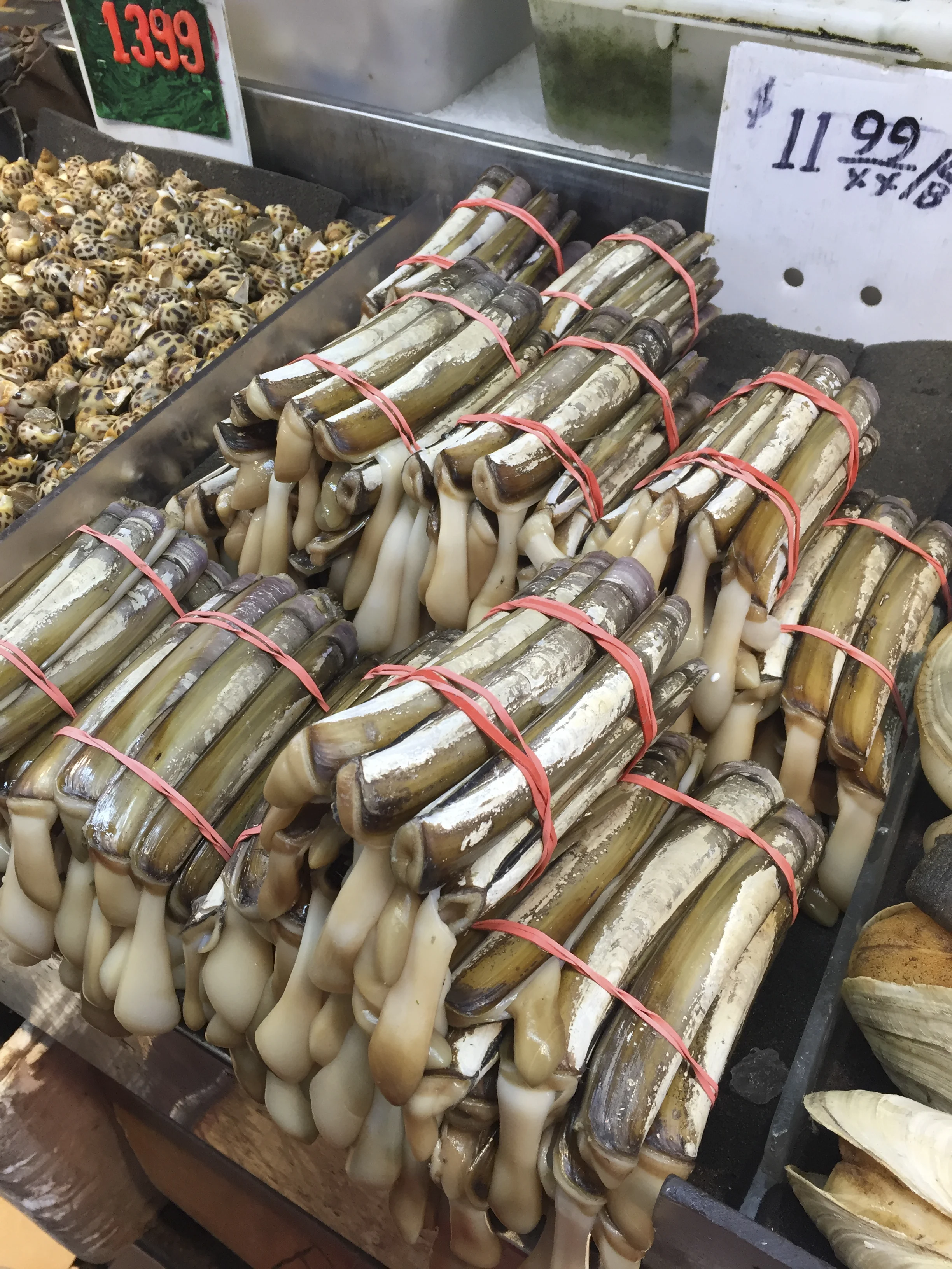 Chinatown 13.jpg