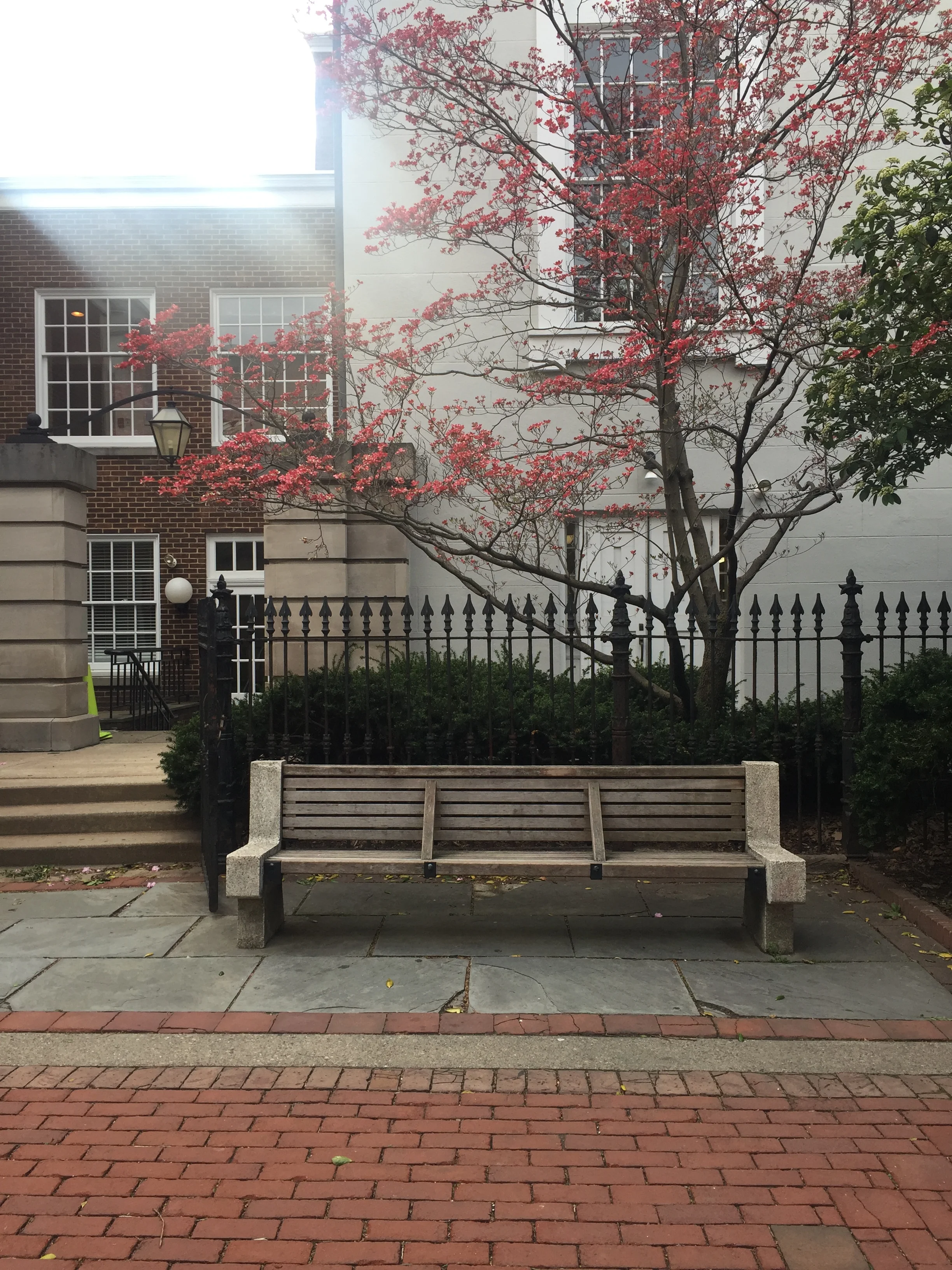 236 Philadelphia 04.2019.JPG