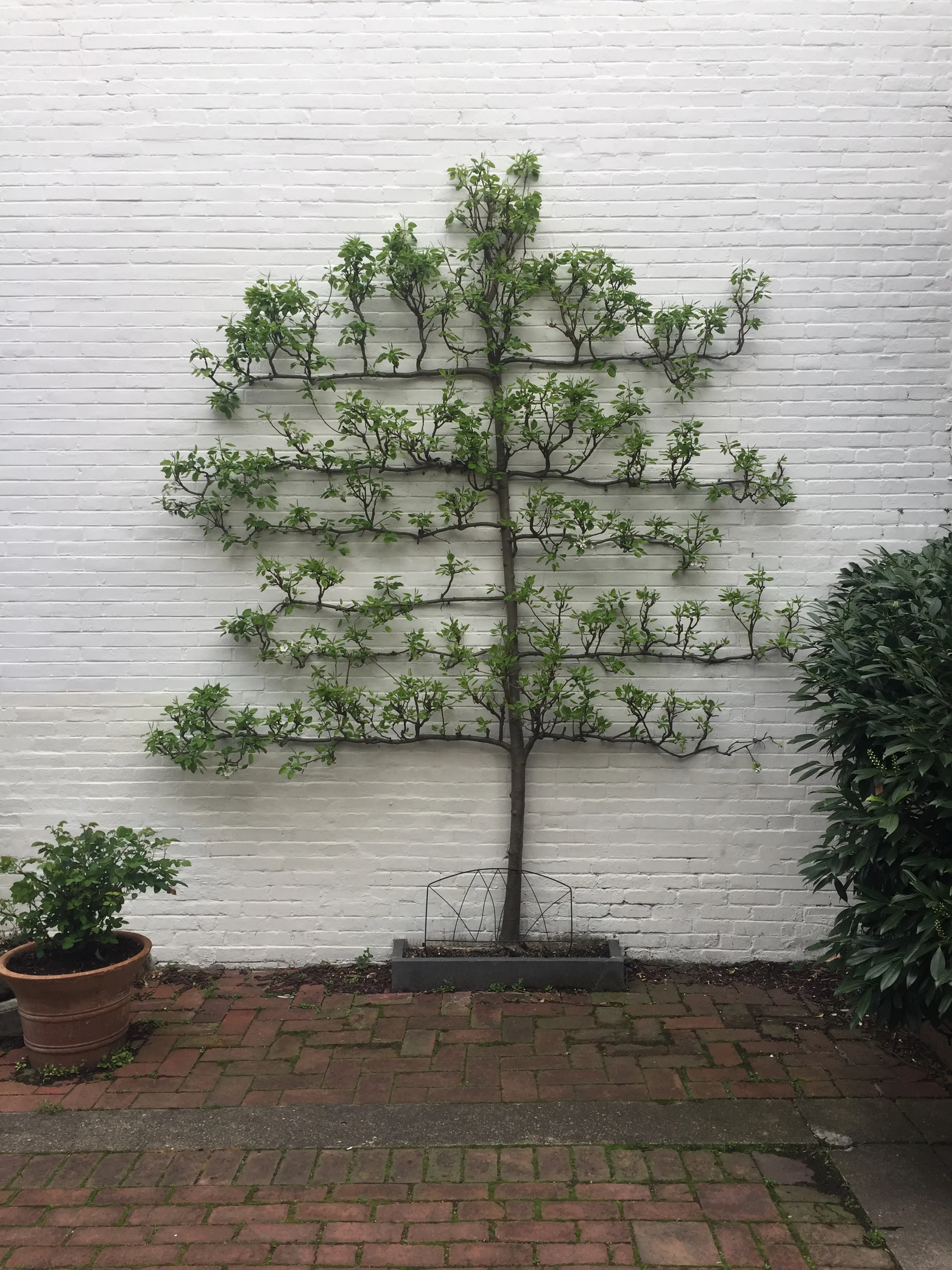 237 Philadelphia 04.2019.JPG