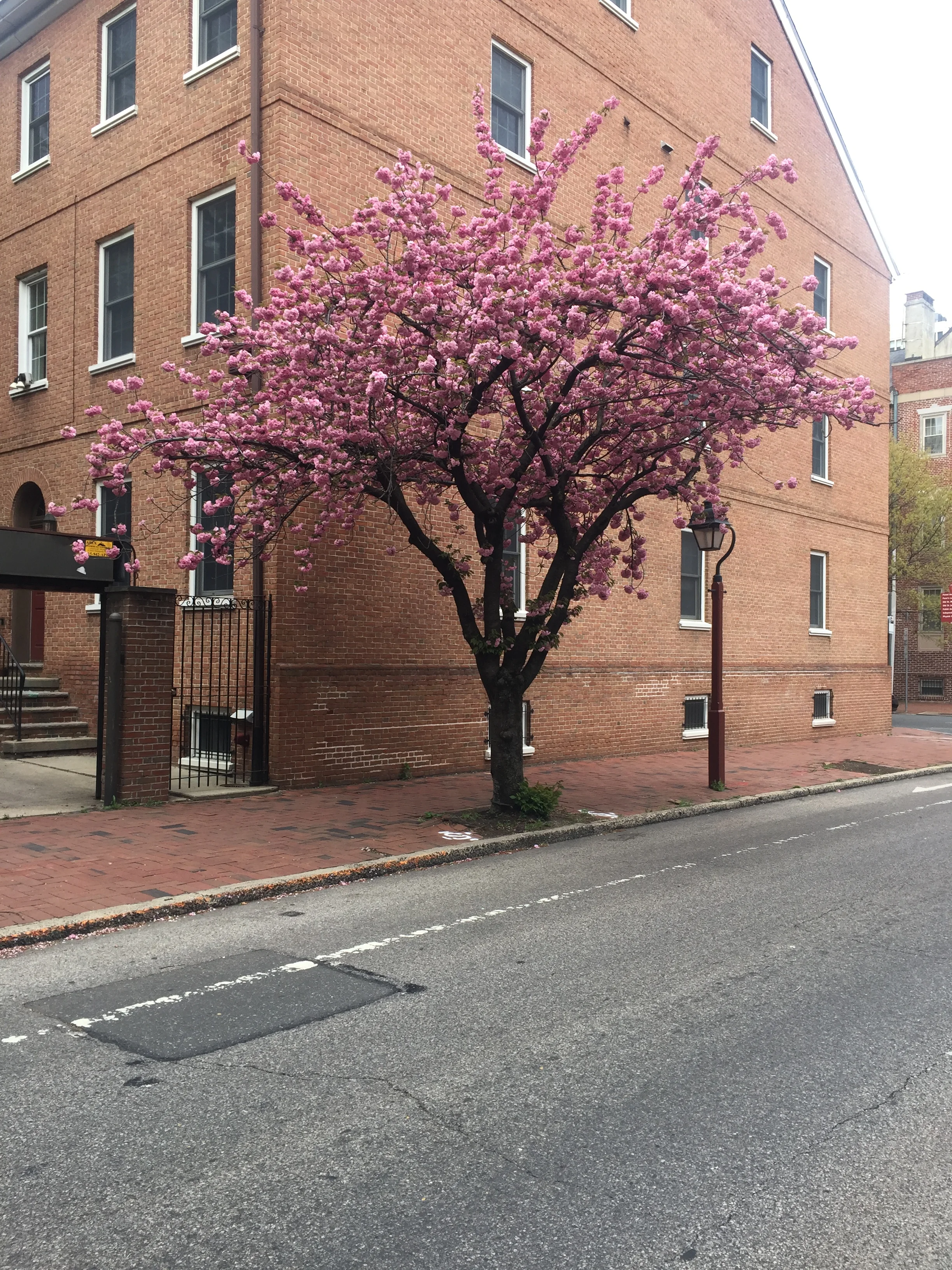 240 Philadelphia 04.2019.JPG