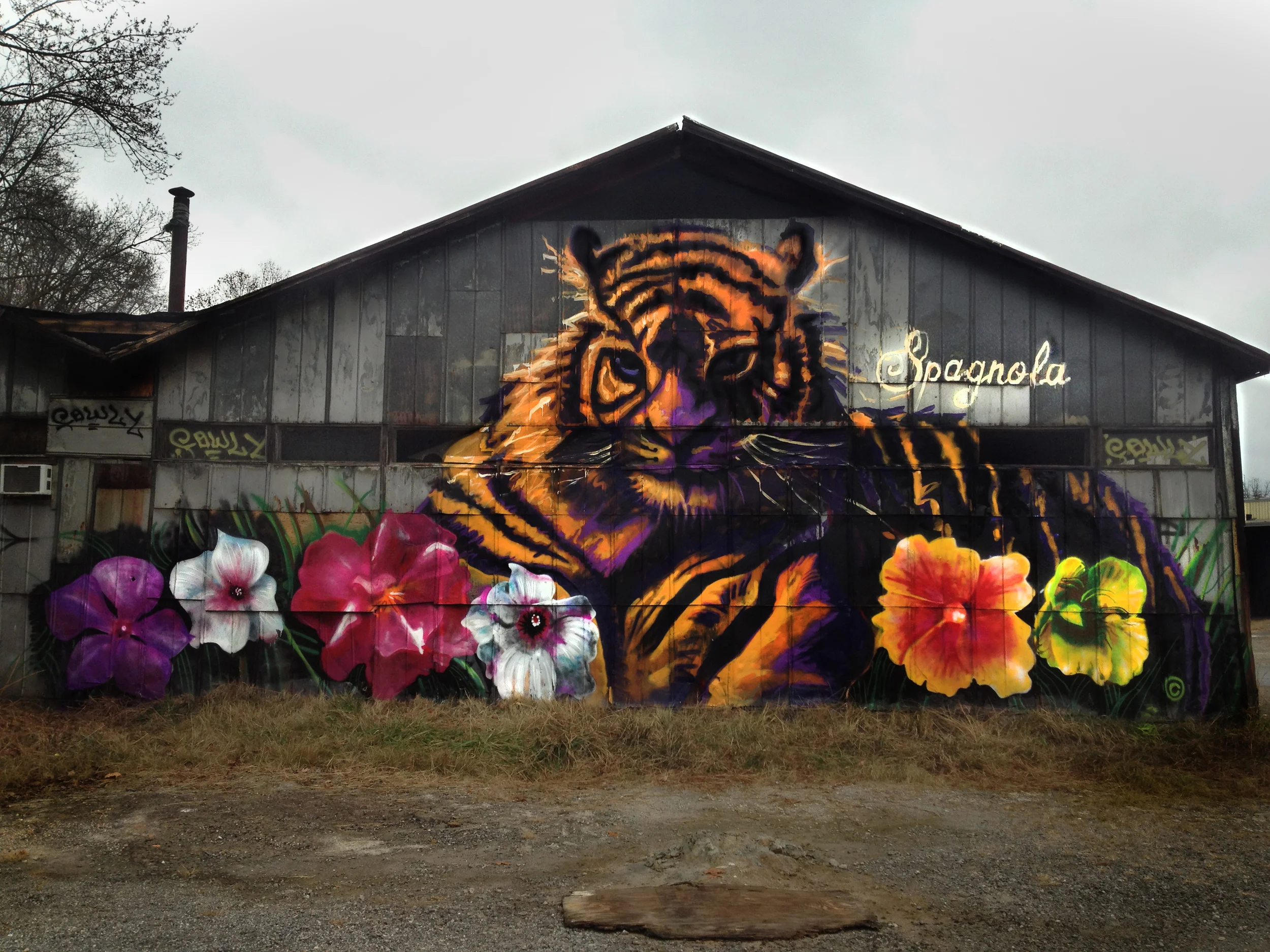 tiger nb warehouse 2.jpg