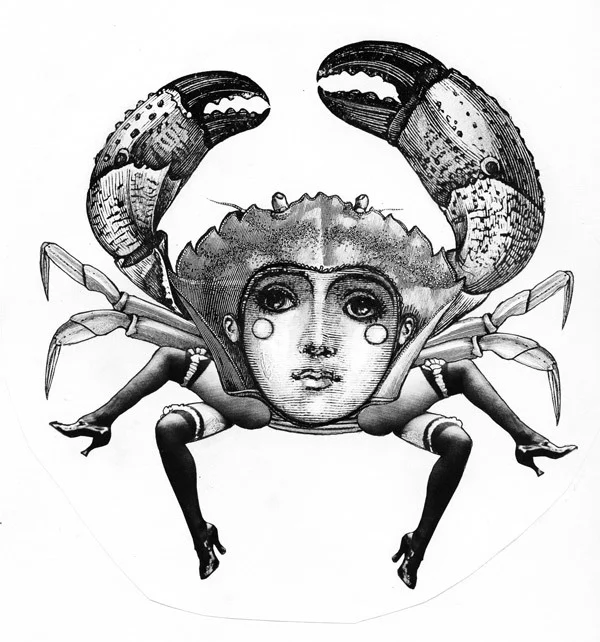 zodiac-cancer-by-karo-design-jpg.jpg