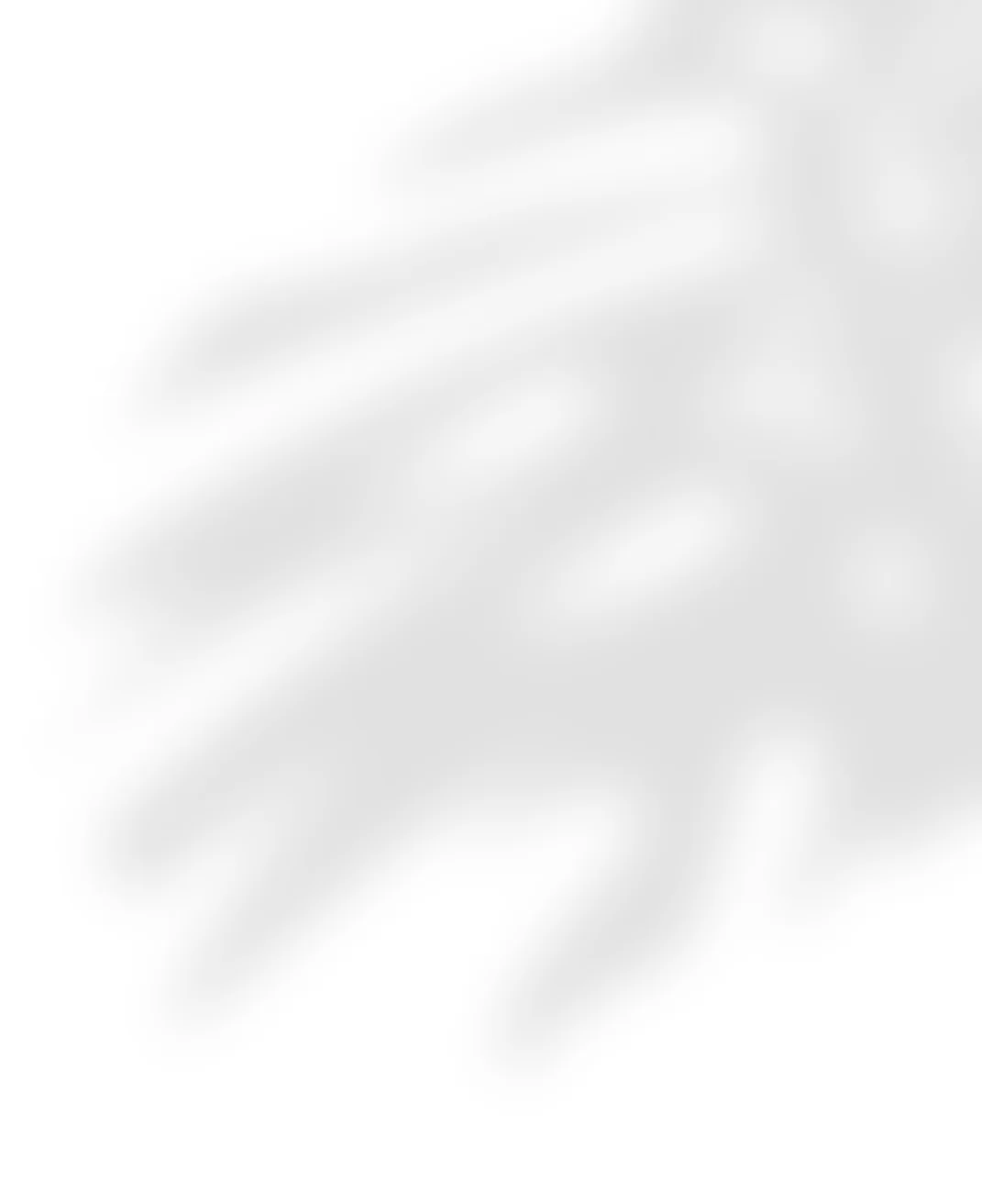 %2525232Natural%252Bmonstera%252Bbig%252Bshadow.jpg