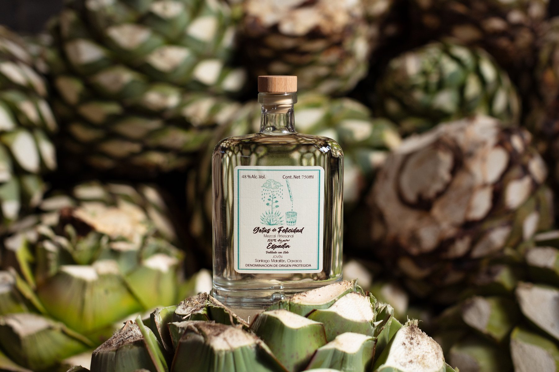 Botellas-008WEB.jpg