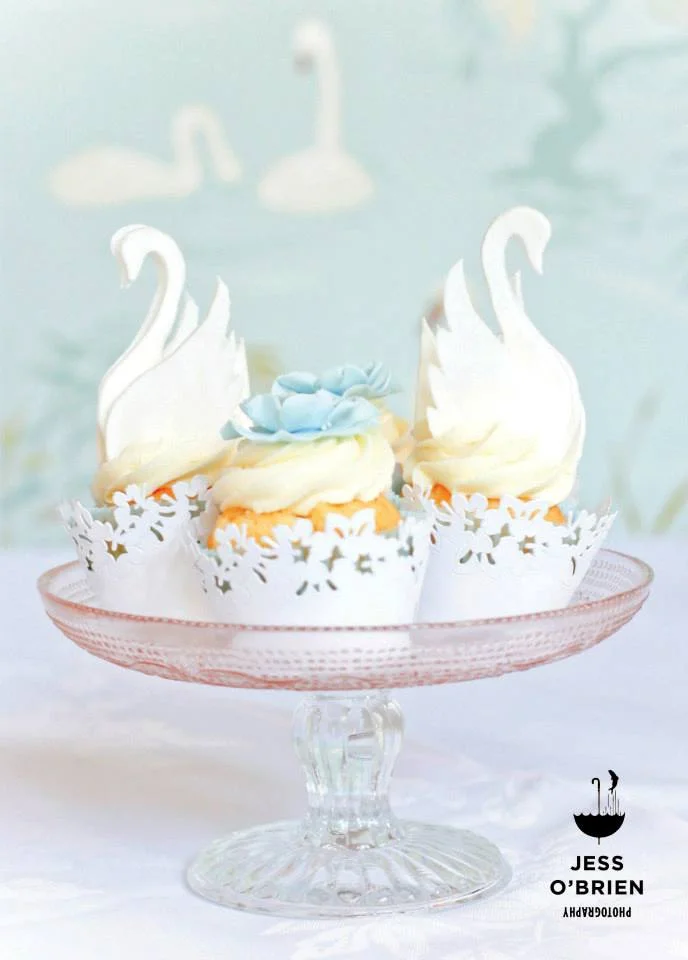 Swan Lake, Mr & Mrs Magazine, Issue 3