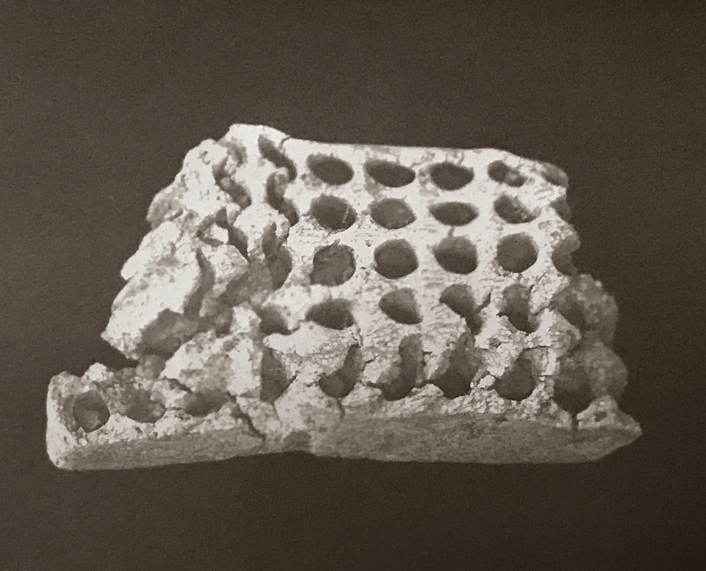 Salt print on Hahnemuhle paper