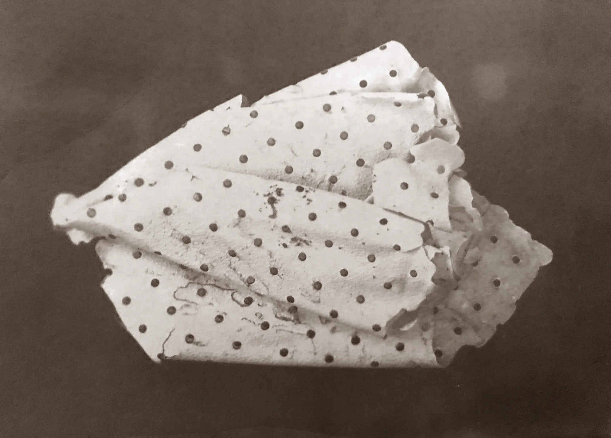 Salt print on Hahnemuhle paper