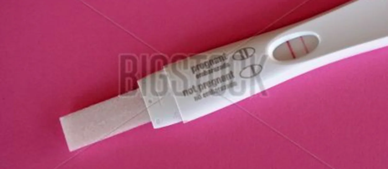 Bigstock_PT_cropped.jpg