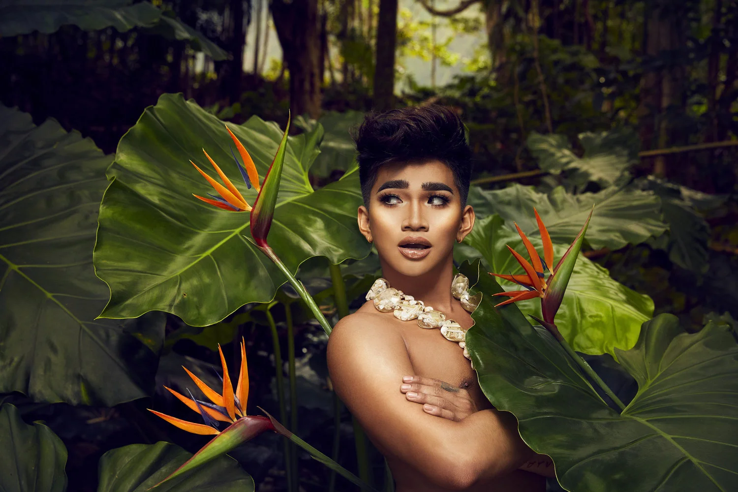 180116_MORPHE_shot1_0215_HighlightFLATNEW_web.jpg