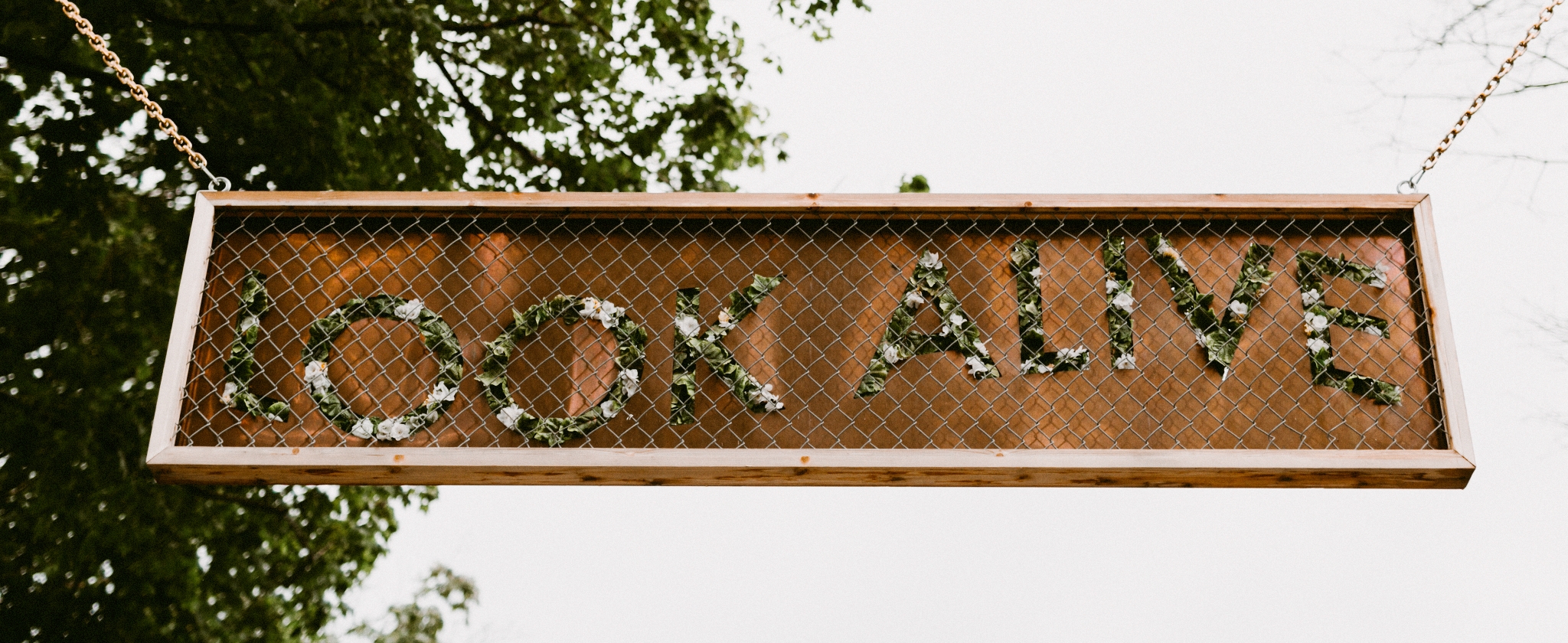 Drake Devonshire + Northern Wildflower +Elopement (50 of 169).jpg