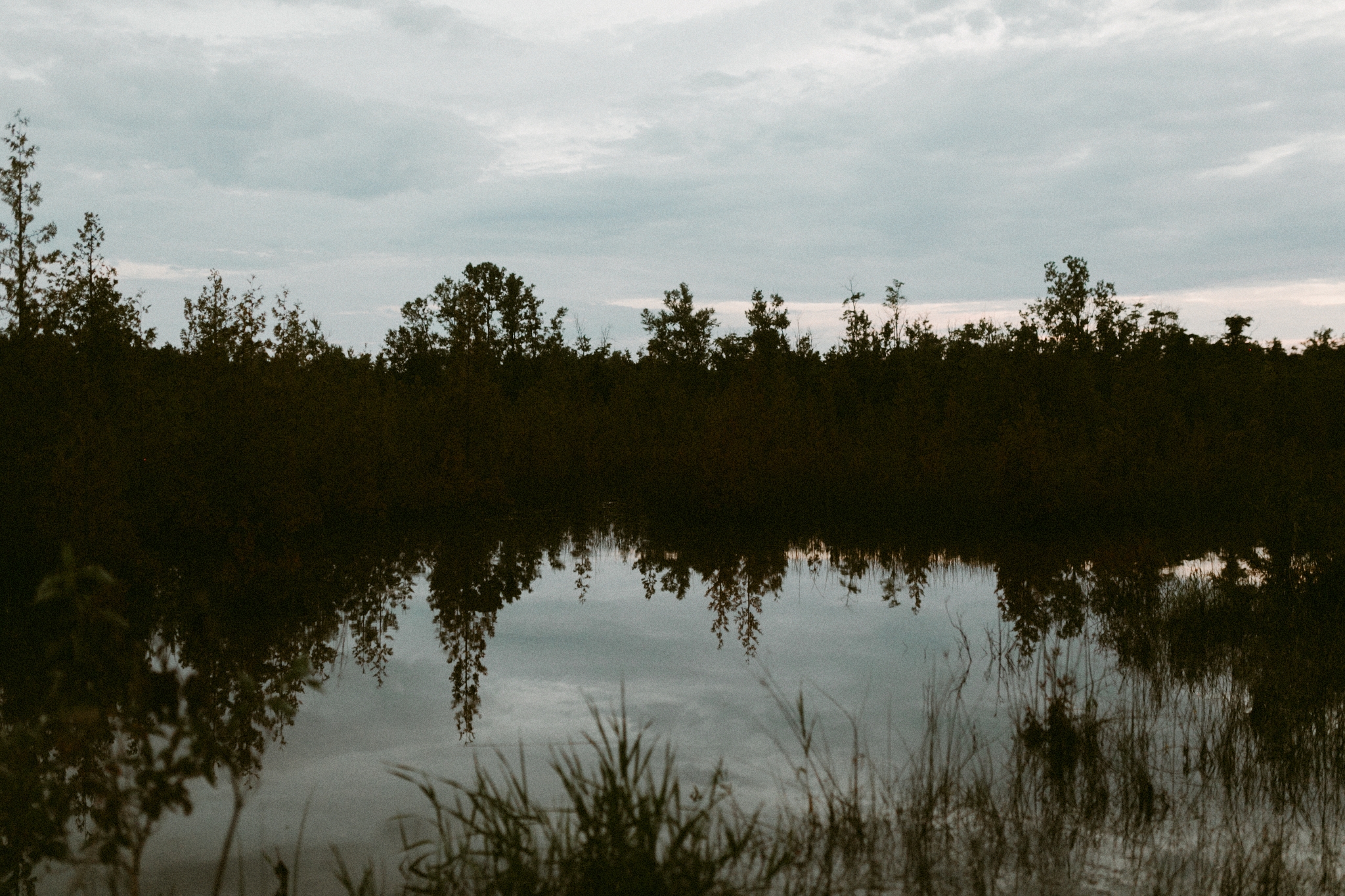 Drake Devonshire + Northern Wildflower +Elopement (162 of 169).jpg