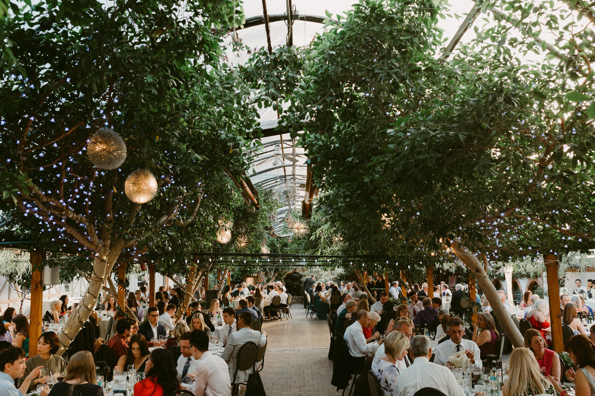 Madsens Greenhouse Wedding Newmarket (90 of 150).jpg