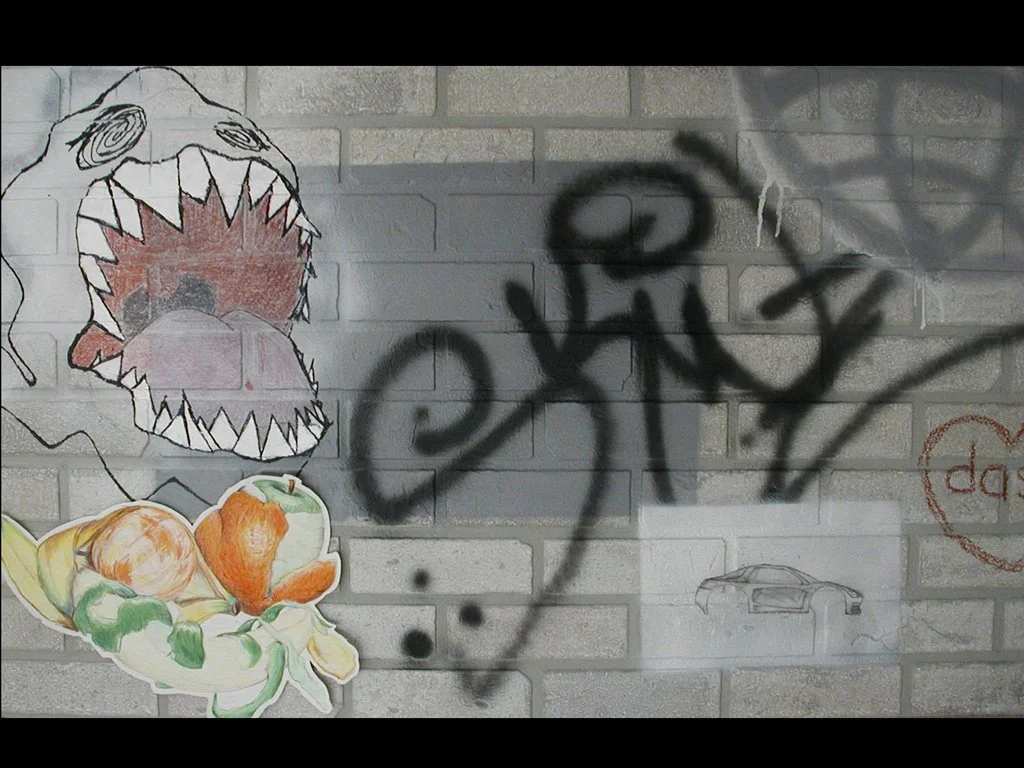 Skins/Exteriors