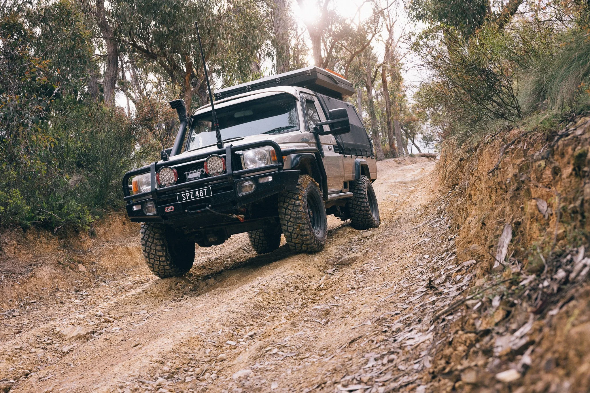 PaulShivelyBFG_AUS-08.jpg