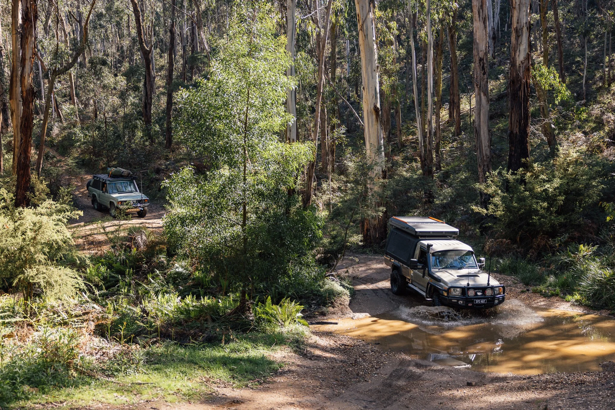 PaulShivelyBFG_AUS-24.jpg