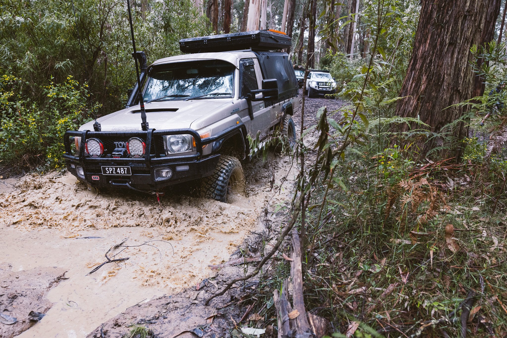 PaulShivelyBFG_AUS-33.jpg