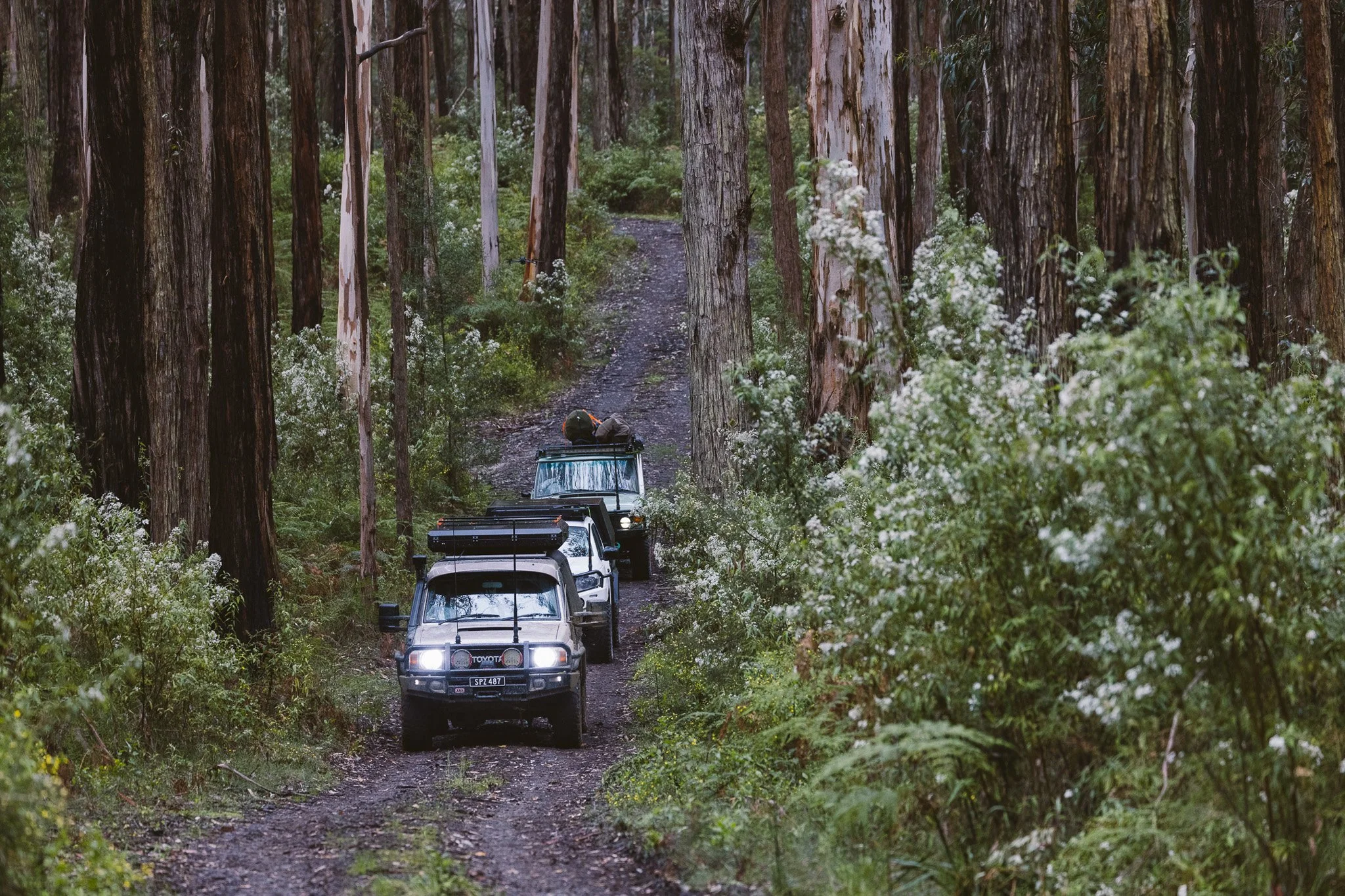 PaulShivelyBFG_AUS-39.jpg