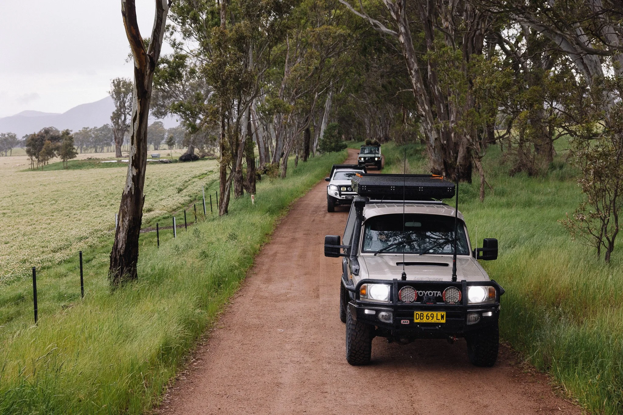 PaulShivelyBFG_AUS-41.jpg
