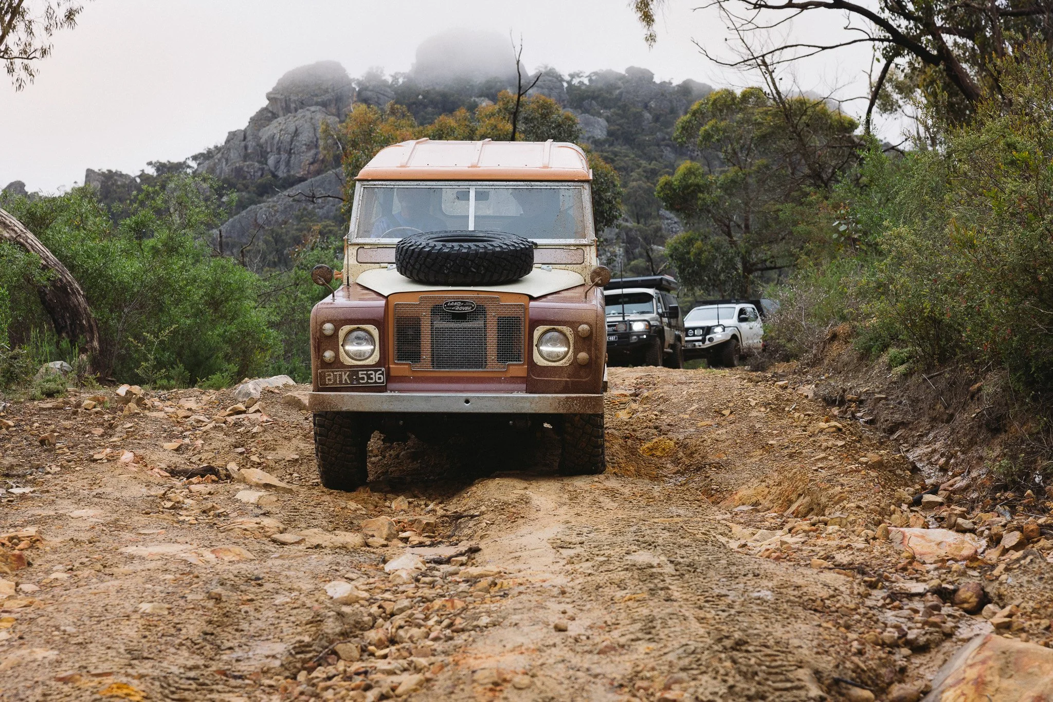 PaulShivelyBFG_AUS-54.jpg