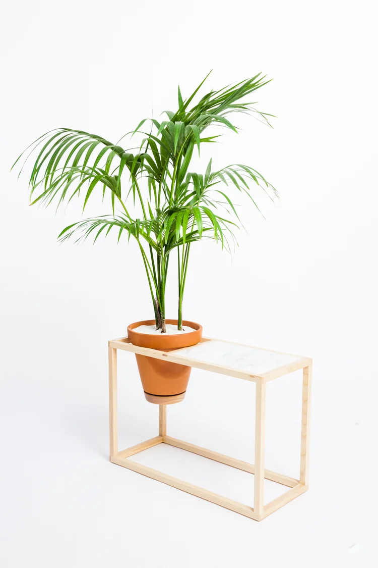 Frame Planter - Side Table  Trey Jones Studio