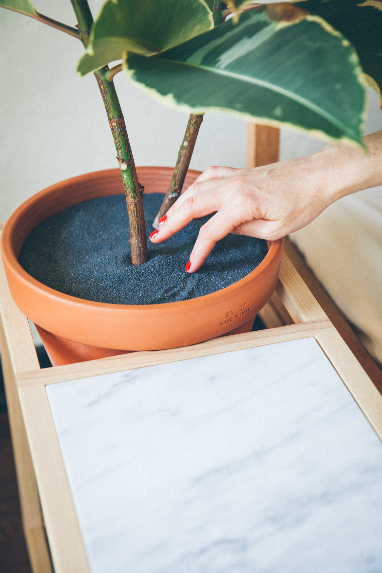 The Side Table Frame Planter is an indoor planter and side table by Trey Jones Studio