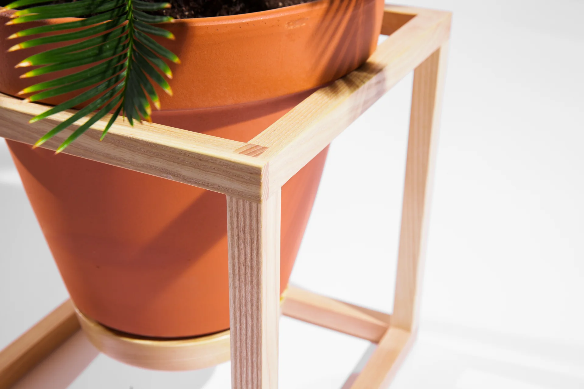 The Cube Frame Planter is an indoor planter by Trey Jones Studio 