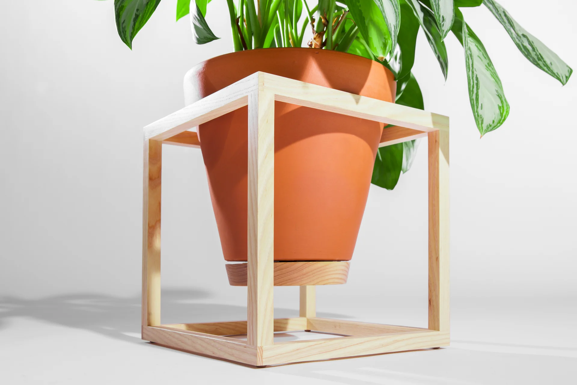 The Cube Frame Planter is an indoor planter by Trey Jones Studio 