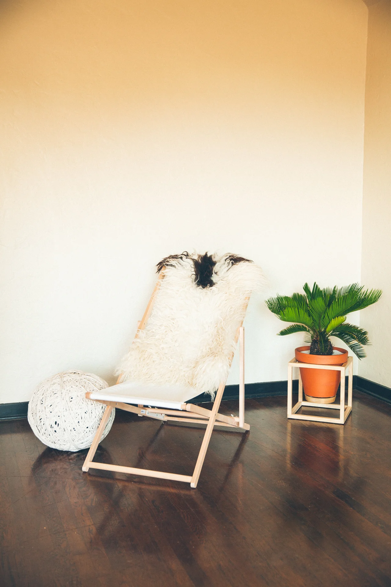 The Cube Frame Planter is an indoor planter by Trey Jones Studio 