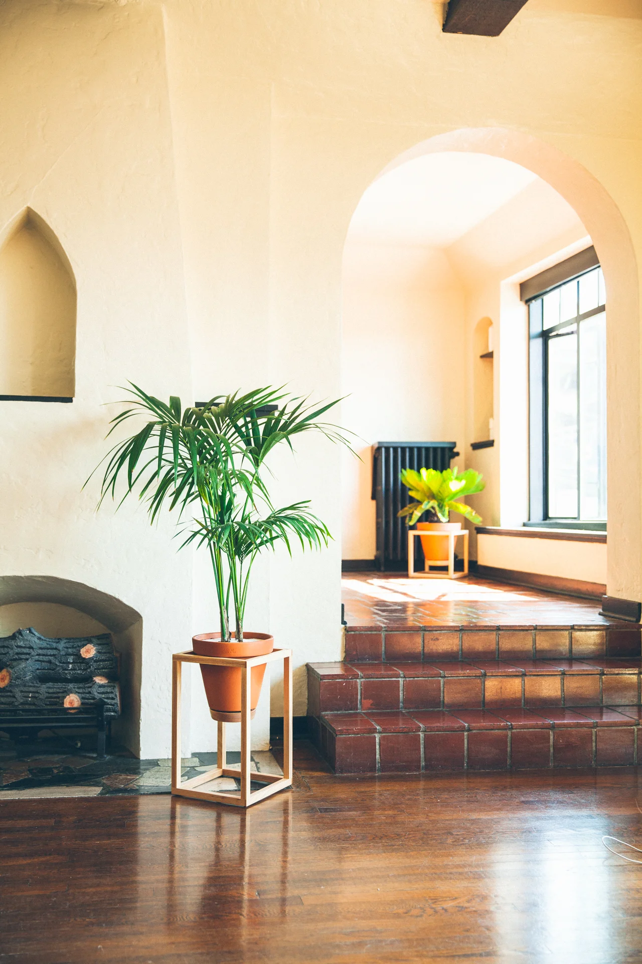 The Cube Frame Planter is an indoor planter by Trey Jones Studio 