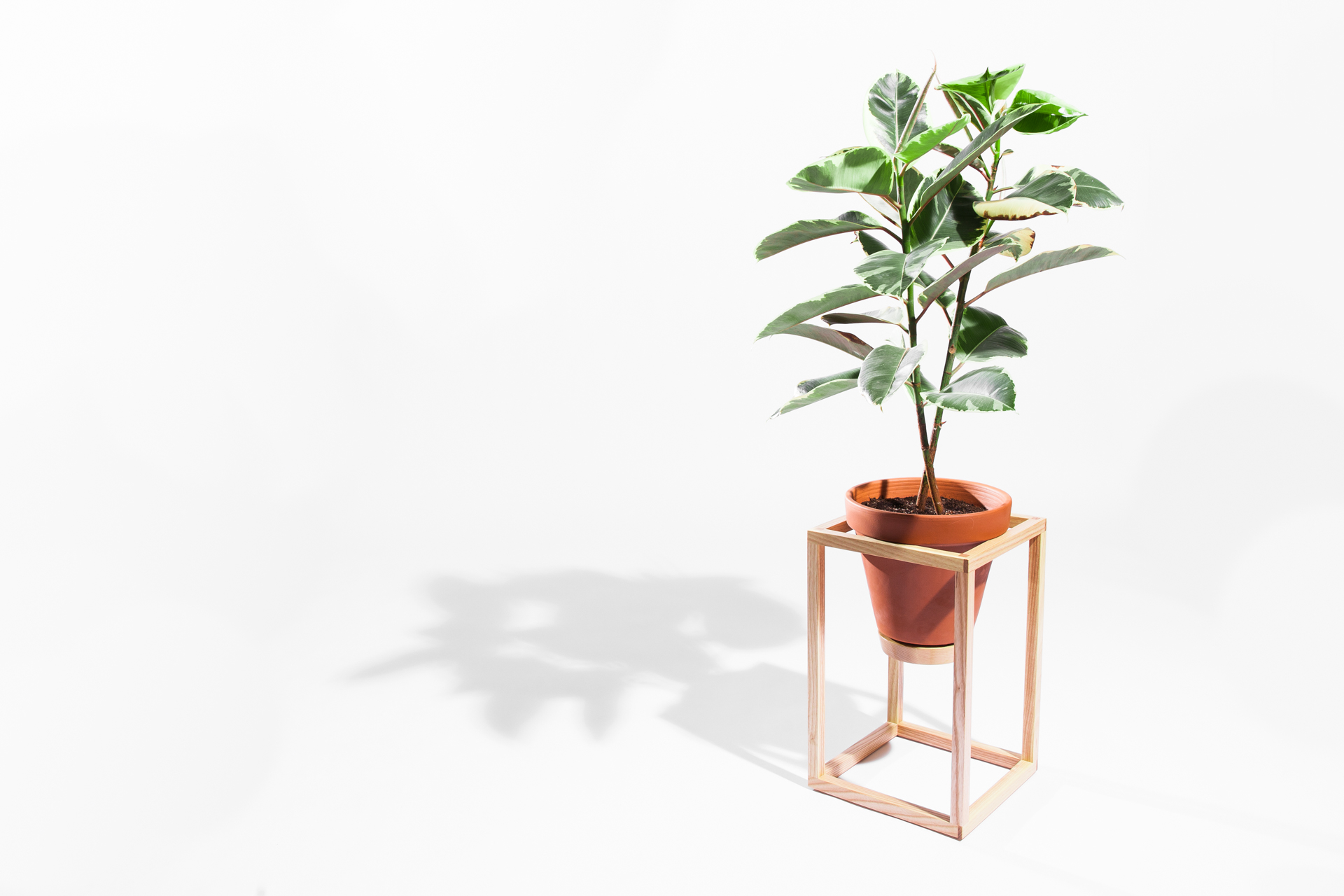 The Tall Frame Planter is an indoor planter by Trey Jones Studio